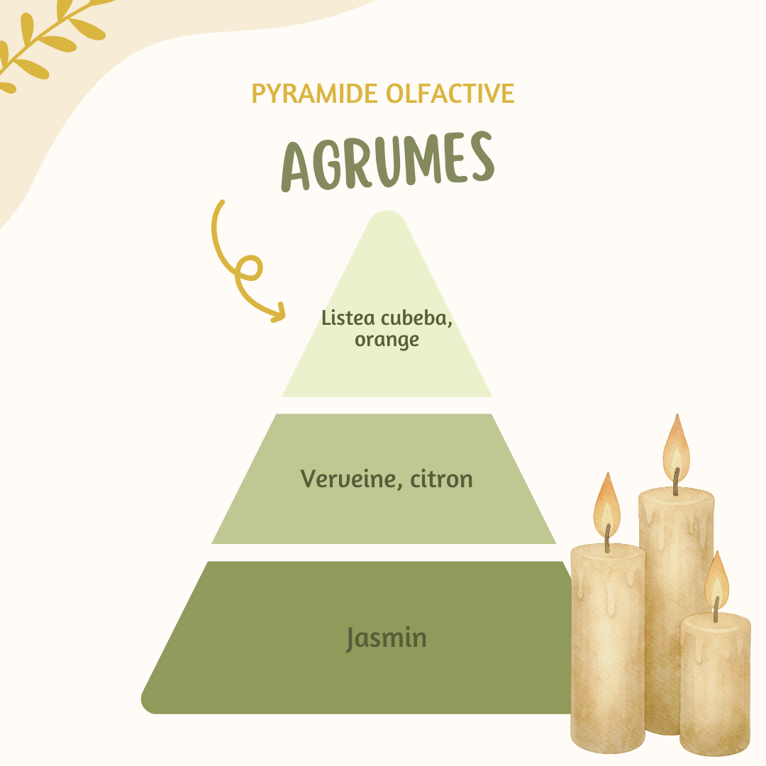 Tablette parfumée ♡ Agrumes