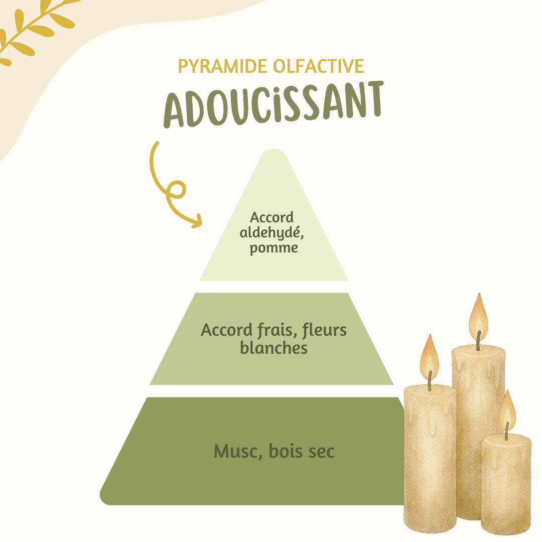Fleur parfumée ♡ Adoucissant