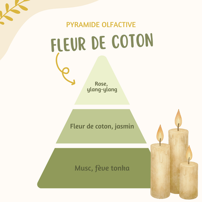 Fleur parfumée ♡ Fleur de coton
